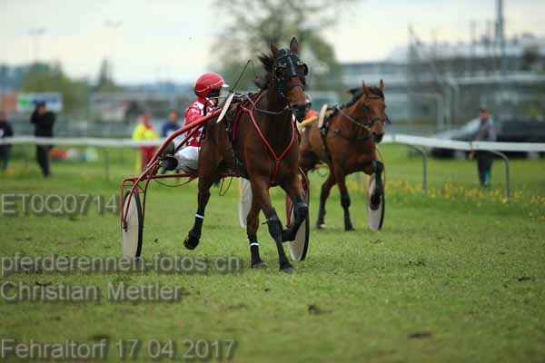 ET0Q0714 prot